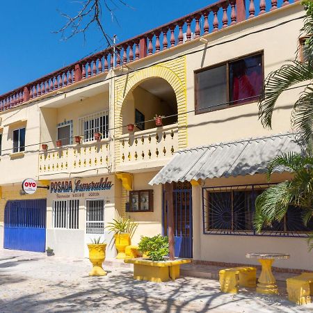 Oyo Hotel Posada Esmeralda San Patricio Eksteriør billede